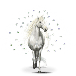 vandrende fuglehest pavos