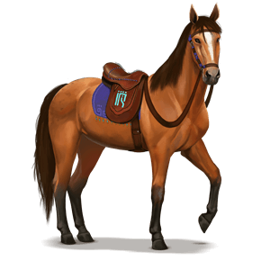 den guddommelige hest etrian